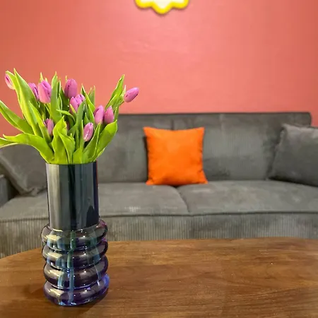 Le Petunia - Check In H24 - Wifi *