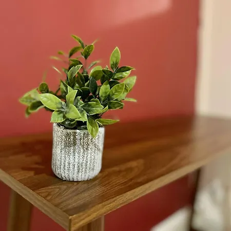 Apartment Le Petunia - Check In H24 - Wifi