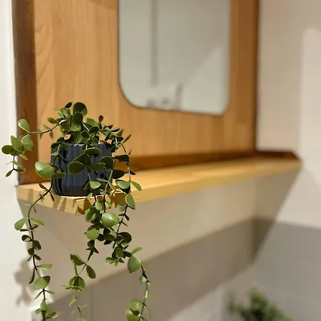 Apartment Le Petunia - Check In H24 - Wifi Lyon